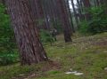 DSCN1444.JPG