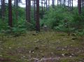 DSCN1445.JPG